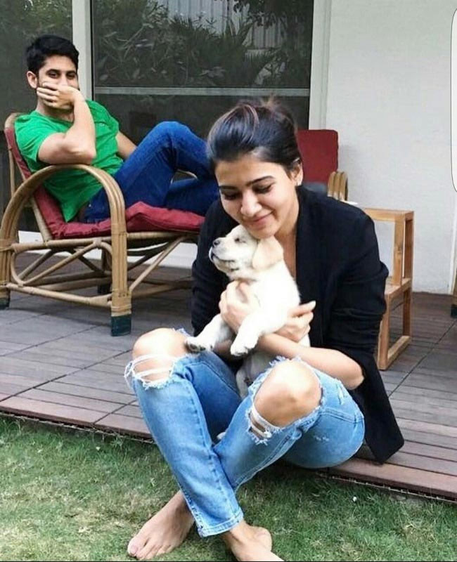 samantha,naga chaitanya,weekend,puppy  సండే: చైతు, సమంత ఓ కుక్కపిల్ల..!